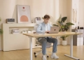 Flexispot e1 pro