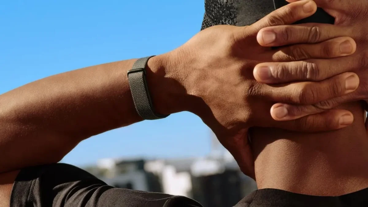 Google fitbit air