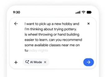 Google search ai (2)