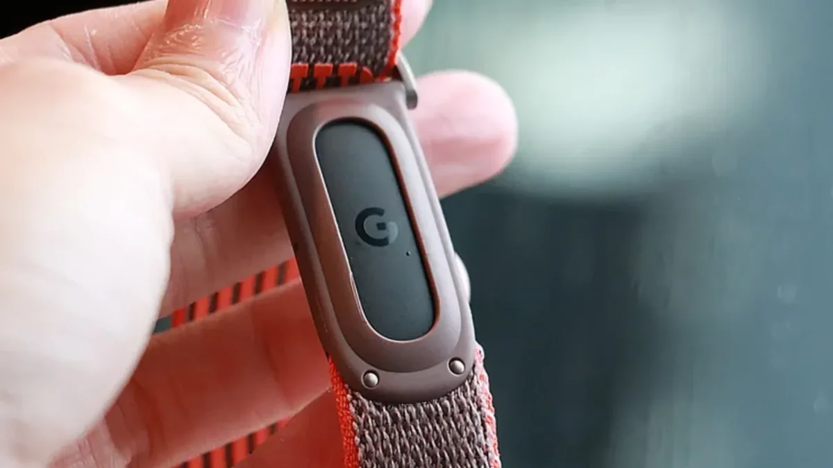Google fitbit air 3d