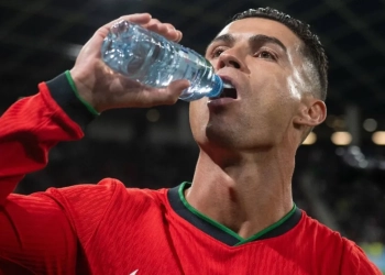 Mundial 2026 Calor Mundial 2026 TecheNet Mundial 2026 calor
