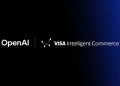 Openai visa