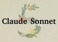 Claude sonnet 5