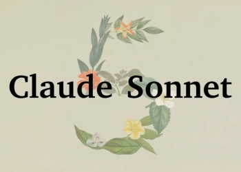 Claude sonnet 5
