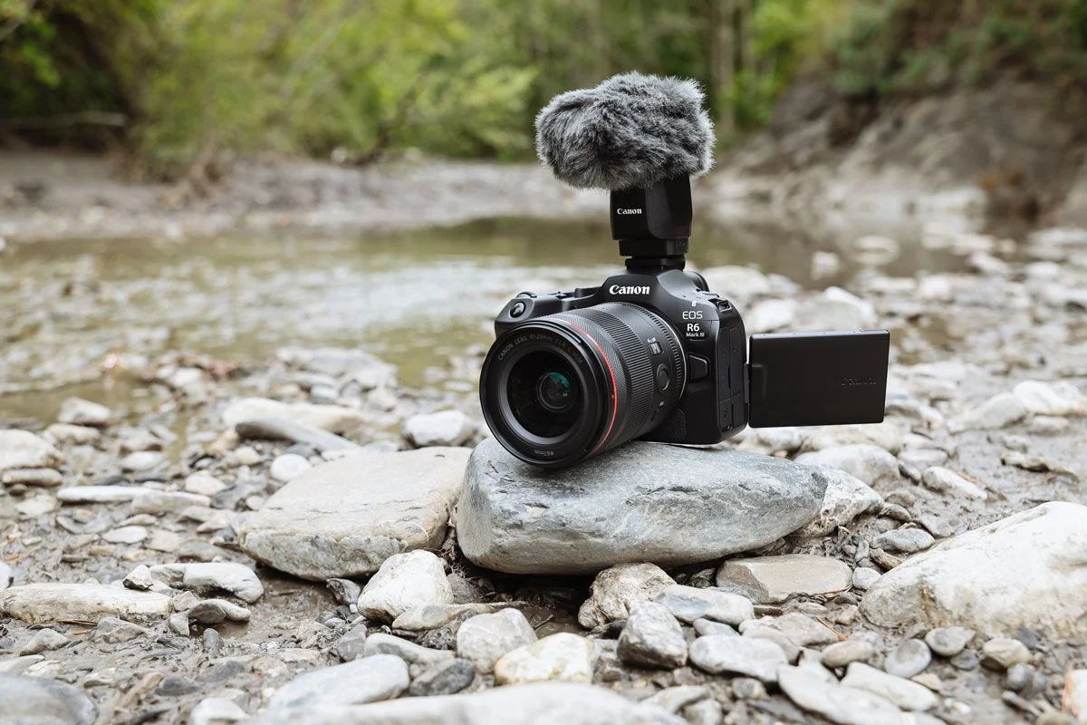 EOS R6 Mark III Ambient Jb Liautard 6898 câmara fotográfica, Canon EOS R6 Mark III TecheNet Eos r6 mark iii ambient jb liautard 6898 câmara fotográfica, canon eos r6 mark iii