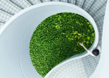 Lenovo sobe à categoria de líder em sustentabilidade de ti